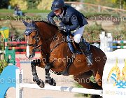 Paini Ottava Meraviglia GioCav2013 S5 4613 : Horses, Ottava Meraviglia, Paini Paolo, ph Stefano Secchi ©
